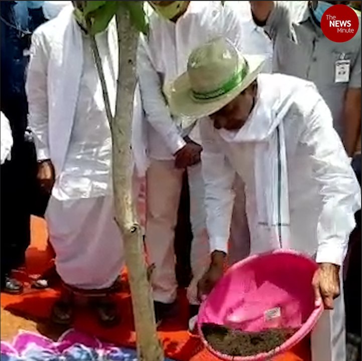 KCR launches Haritha Haram sixth phase, aims to plant 30 crore saplings