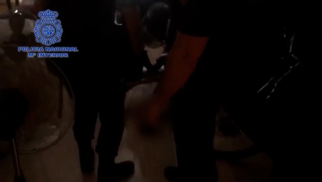 Un centenar de detenidos y 5.500 plantas de marihuana intervenidas en una operación antidroga