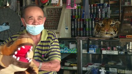 Autoridades tailandesas intentan recuperar el control de  la ciudad de los monos