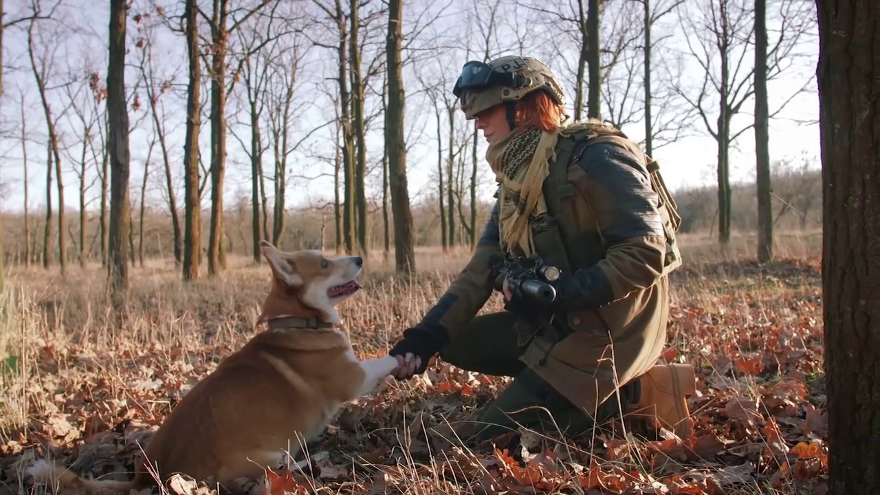 The Dog That Served In WWI