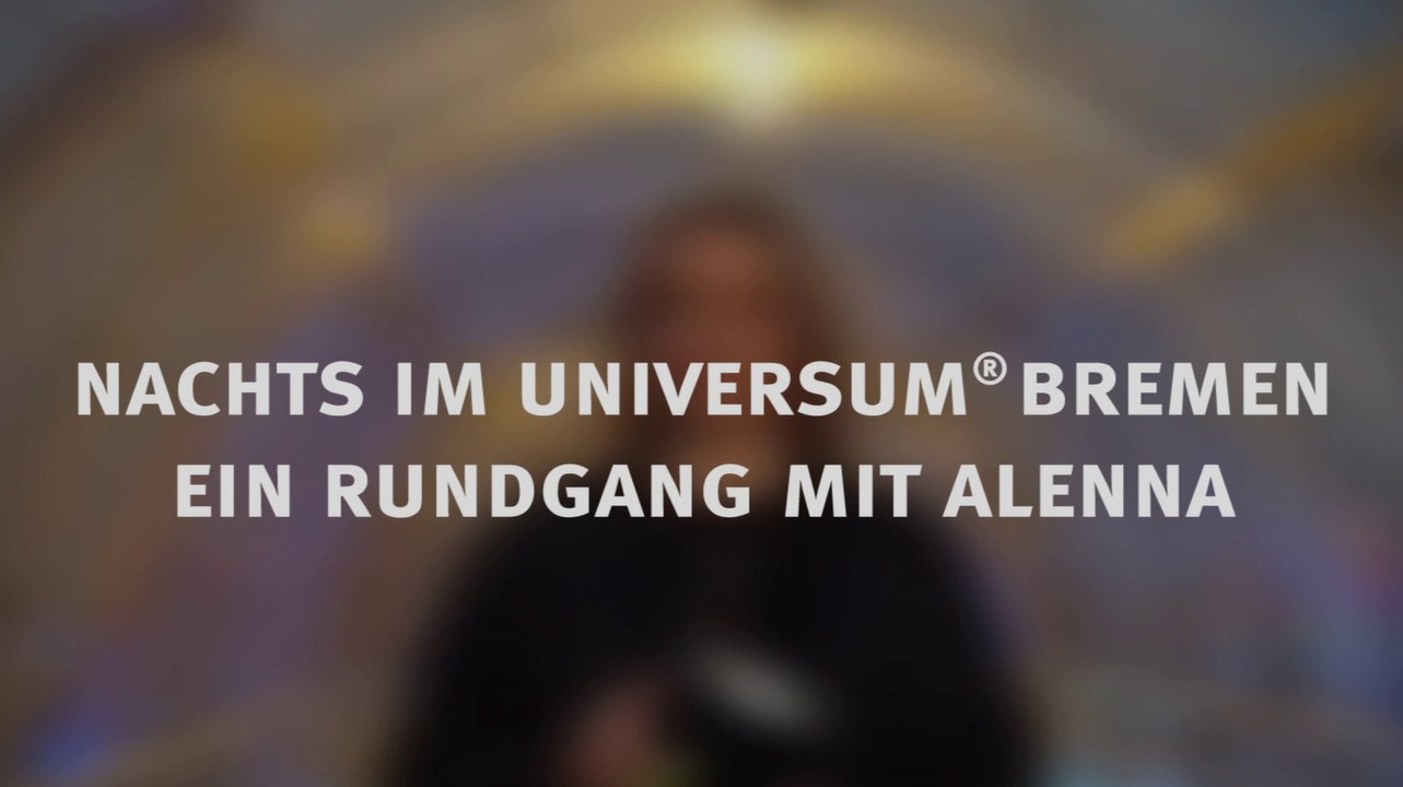 Nachts im Universum Bremen