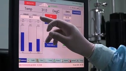 Movimento 'antivacina' já ataca antígeno da covid-19