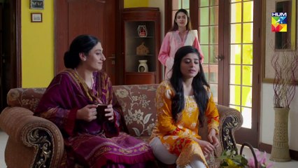 Wafa Kar Chalay Episode 107 HUM TV Drama 25 June 2020