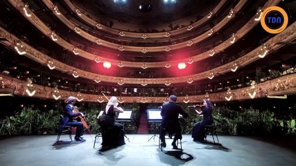 Un opéra joue de la musique pour 2292 plantes en pot dans le public