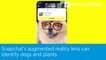 Snapchat’s augmented reality lens can identify dogs and plants.