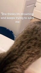 Protective Kitty Wants to Save Human from Bathtub