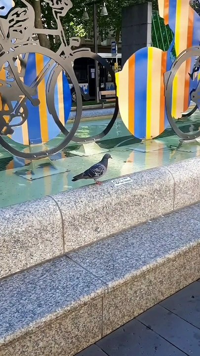 Balkon schön machen *Corona Tag 100