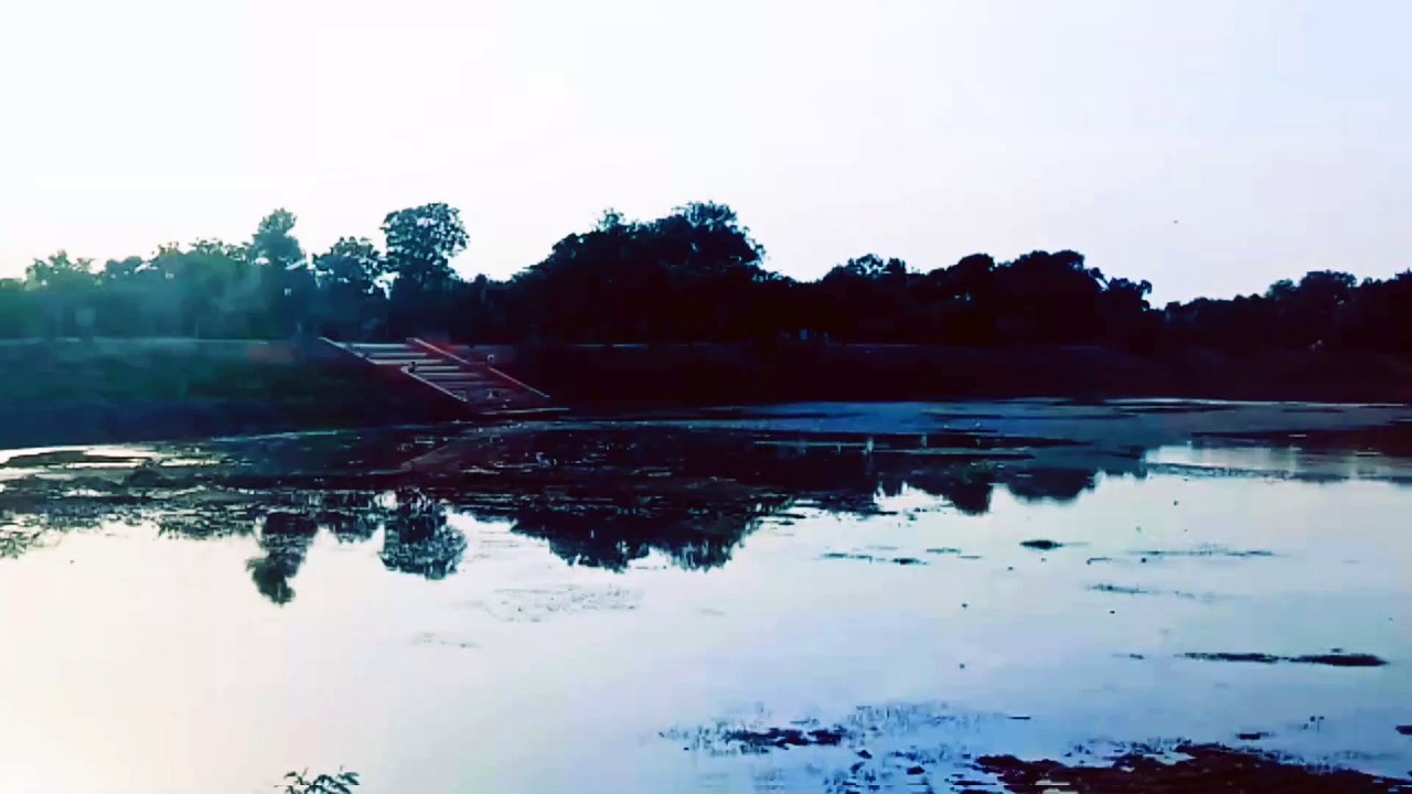 PONDS LOOK . NATURE VIDEOS . #nature #ponds