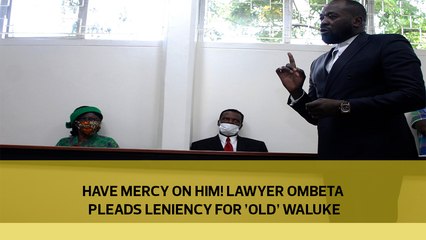 Have mercy on him! Lawyer Ombeta pleads leniency for 'old' Waluke