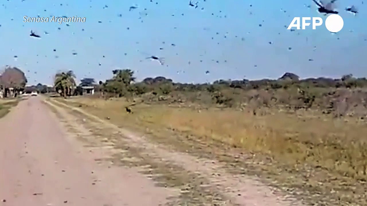 Estado de emergência
