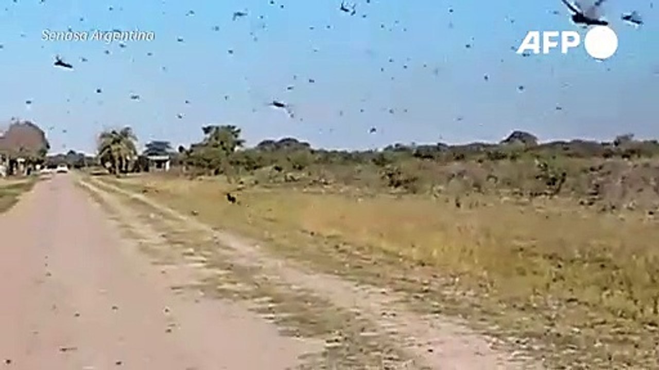 Estado de emergência