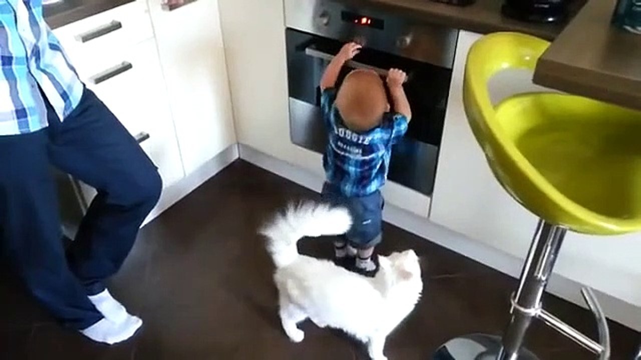 Ce chat empêche un bébé de mettre la main sur le four chaud... héros du jour