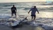 2 touristes viennent en aide à un requin échoué sur une plage