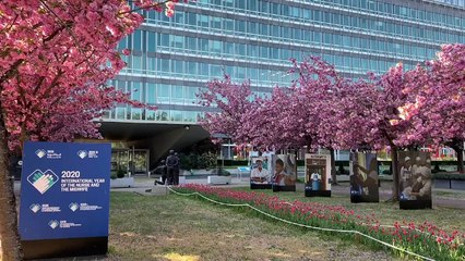 Οι ευρωβουλευτές ανέκριναν τον γενικό διευθυντή του ΠΟΥ