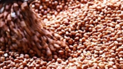 Without Baseball, There Are a Lot of Unsold Peanuts Sitting in Cold Storage Right Now