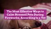 The Most Effective Ways to Calm Stressed Pets During Fireworks, According to a Vet