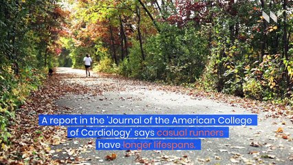 5 Tips to Keep You and Your Dog in Shape