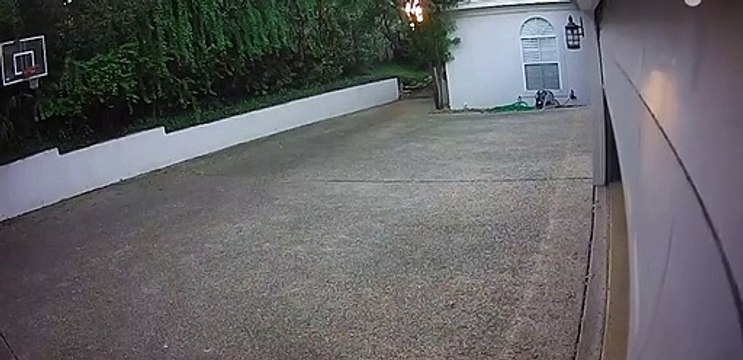 Elle coince la voiture dans la porte du garage !
