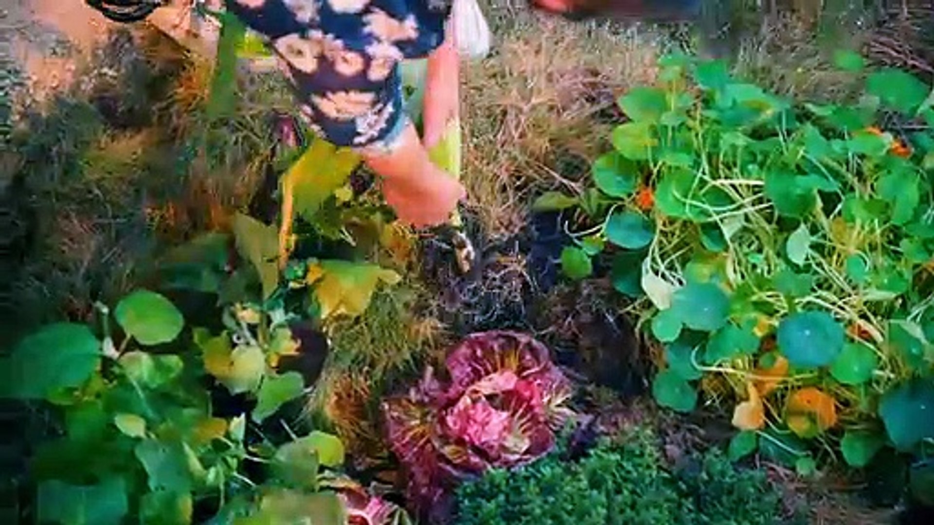 TRAILER | Crazy Delicious | Watch Series on All 4