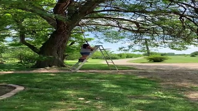 Woman Gets Bonked by Branch during Tree Trimming