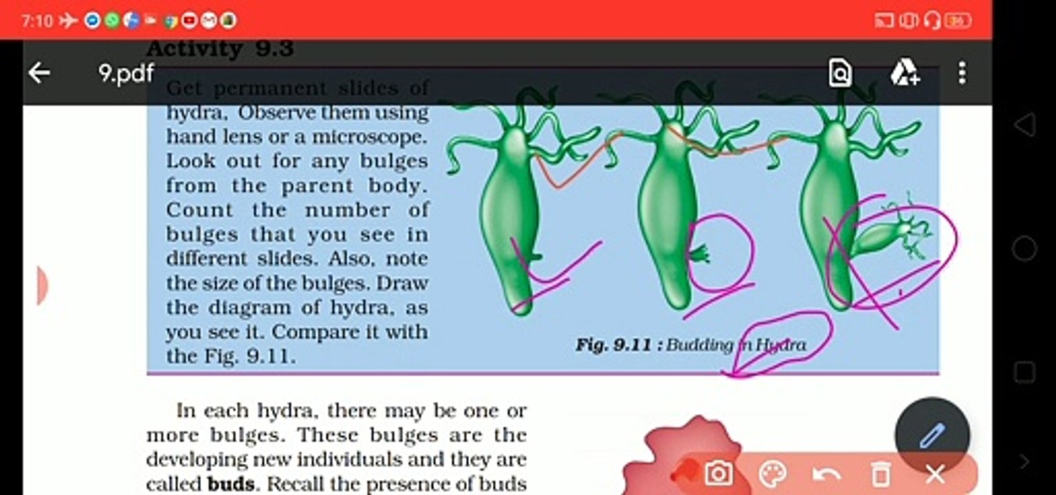 Asexual reproduction , cloning Std 8 and other competitive exam