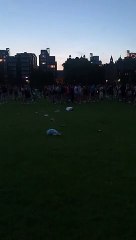 Fight breaks out in The Meadows, June 25, 2020