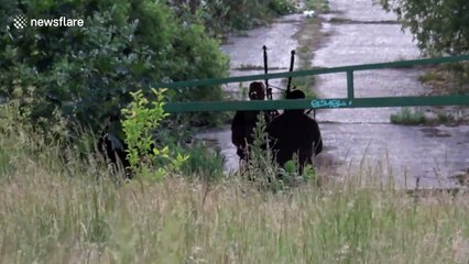 Group of bagpipers give socially distant performance under motorway flyover in London