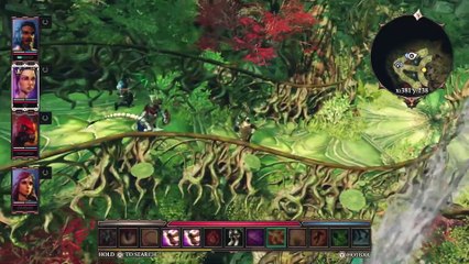 Divinity Original Sin 2 - Definitive Edition