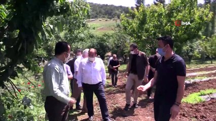 Atıl durumda bırakılan araziler ile hazine arazileri ''Ceviz Üretiminin Yaygınlaştırılması Projesi'' kapsamında değerlendirilecek