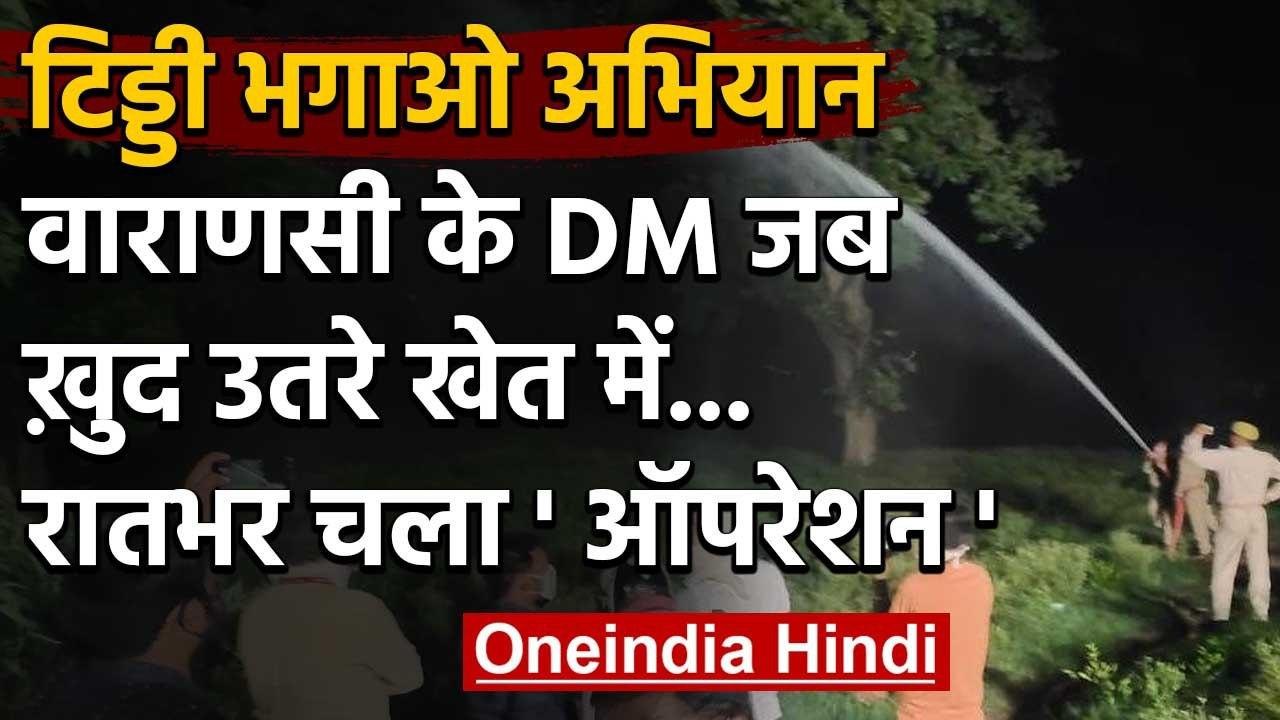 Locust Attack: रातभर चला टिड्डियों को भगाने का अभियान, DM ने खुद संभाला मोर्चा | वनइंडिया हिंदी