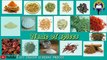 Name Of Spices _ Spices Names in English With Pictures _ Easy English Learning P