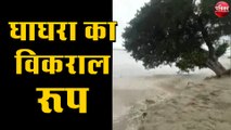 देखते ही देखते नदी में समा गया विशाल पेड़