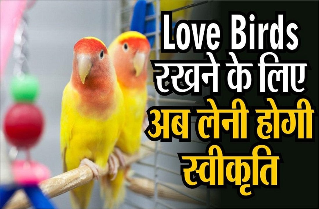 एग्जोटिक एनिमल  रखने के लिए अब लेनी होगी स्वीकृति