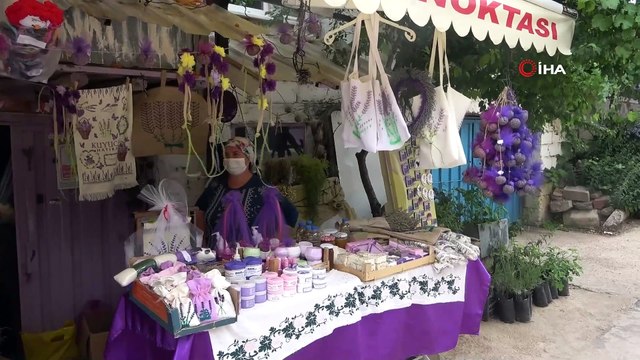 Isparta'nın lavanta bahçelerinde ‘Mor Turizm’ başladı