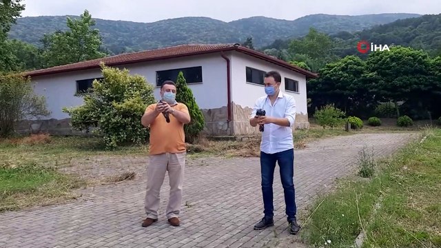 Bursa'da tedavileri tamamlanan yaban hayvanlar doğal ortamlarına salındı