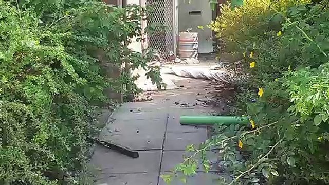 Mess and damage left by travellers in Preston