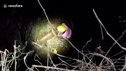 Firefighters attempt nighttime rescue of cow trapped in well