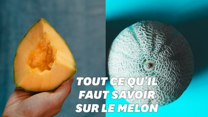 Download Video: Pour cet été, voici 5 conseils pour choisir son melon