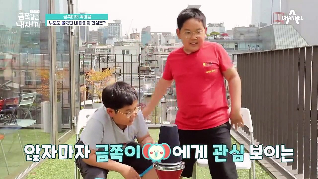 ☞쌍둥이 금쪽이들의 속마음☞ 사회성 만랩 금쪽이들이 진짜로 걱정했던 것은?