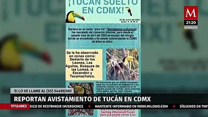 Realizan acciones preventivas en la Selva Lacandona