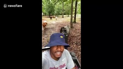 'Have a good day!' US farmer being followed by animals at feeding time is a vibe