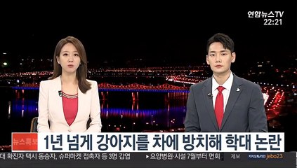 1년 넘게 강아지를 차에 방치해 학대논란