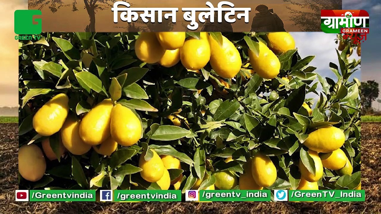 Kisan Bulletin : बिना लागत के खेती करें किसान, सरकार देगी मुफ्त पौधे(Saplings) व खाद(Fertilizers) : Grameen News