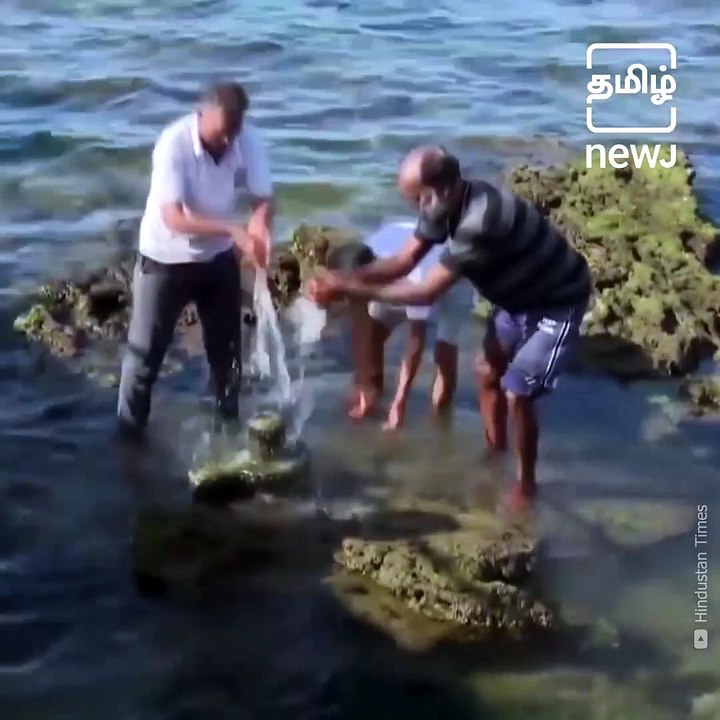 Tamil Nadu: Shiva lingam found amid coral rocks in Rameswaram