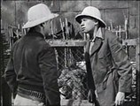 King of  the Wild E8: The Jaws of the Jungle (1931) - (Action, Adventure, Drama, Horror)