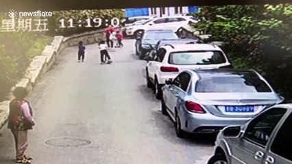 Husky faces ban from residential area after biting three children in northern China