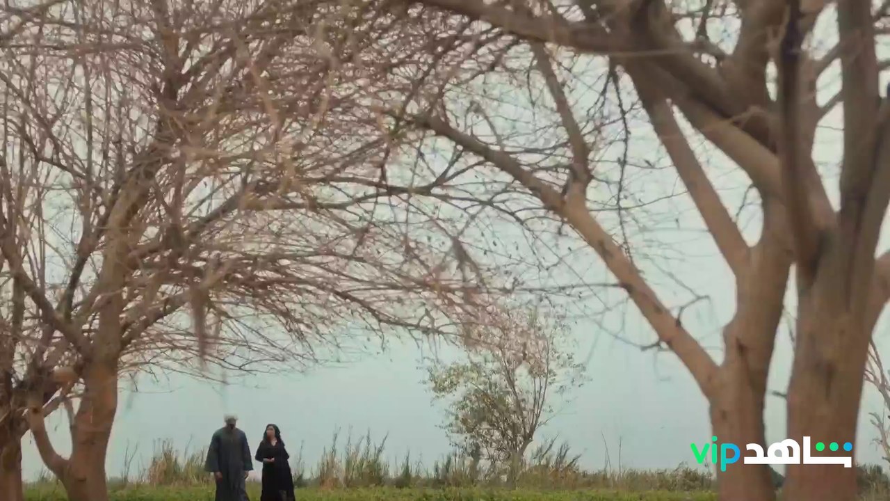 عايش حاجات شبه الحاجات..مين شبه الجبالي؟