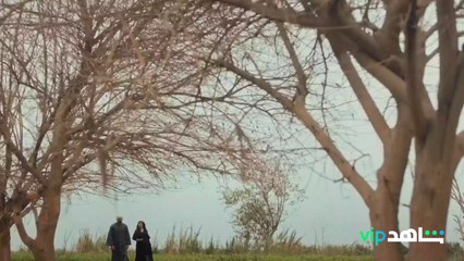 عايش حاجات شبه الحاجات..مين شبه الجبالي؟