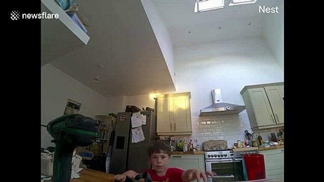 Busted! Boy, 5, caught stealing cookies by camera set up by dad