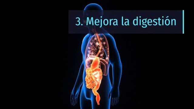 8 propiedades y beneficios de la canela